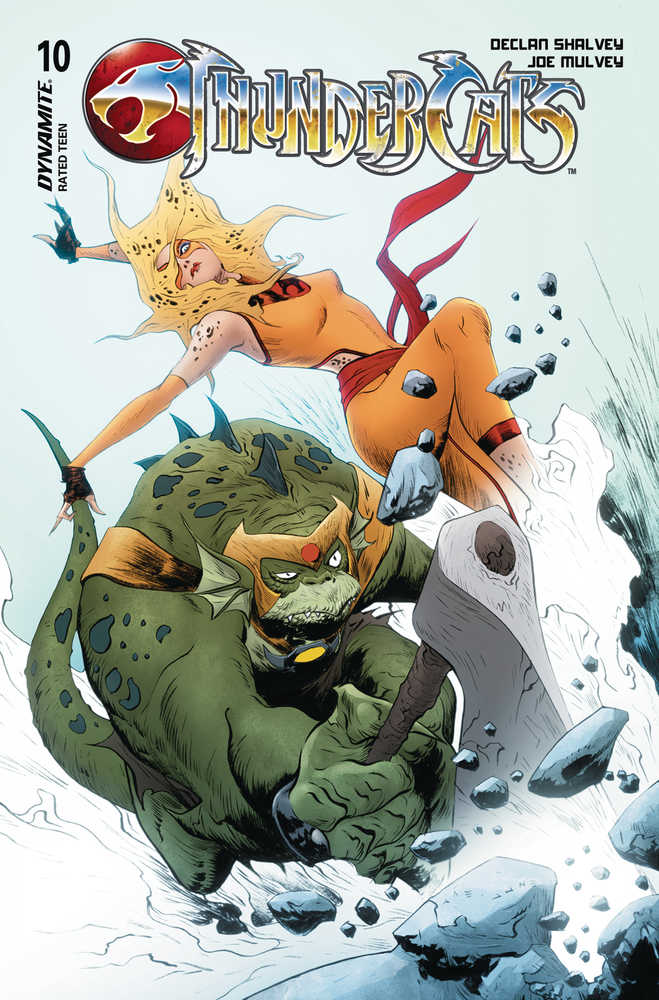 THUNDERCATS #10 COVER D LEE & CHUNG