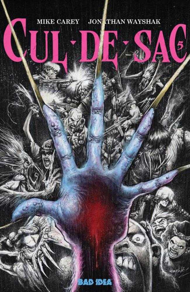 CUL DE SAC #5 (OF 5) COVER A JONATHAN WAYSHAK (Bad Idea 2025) 1st Print Comic