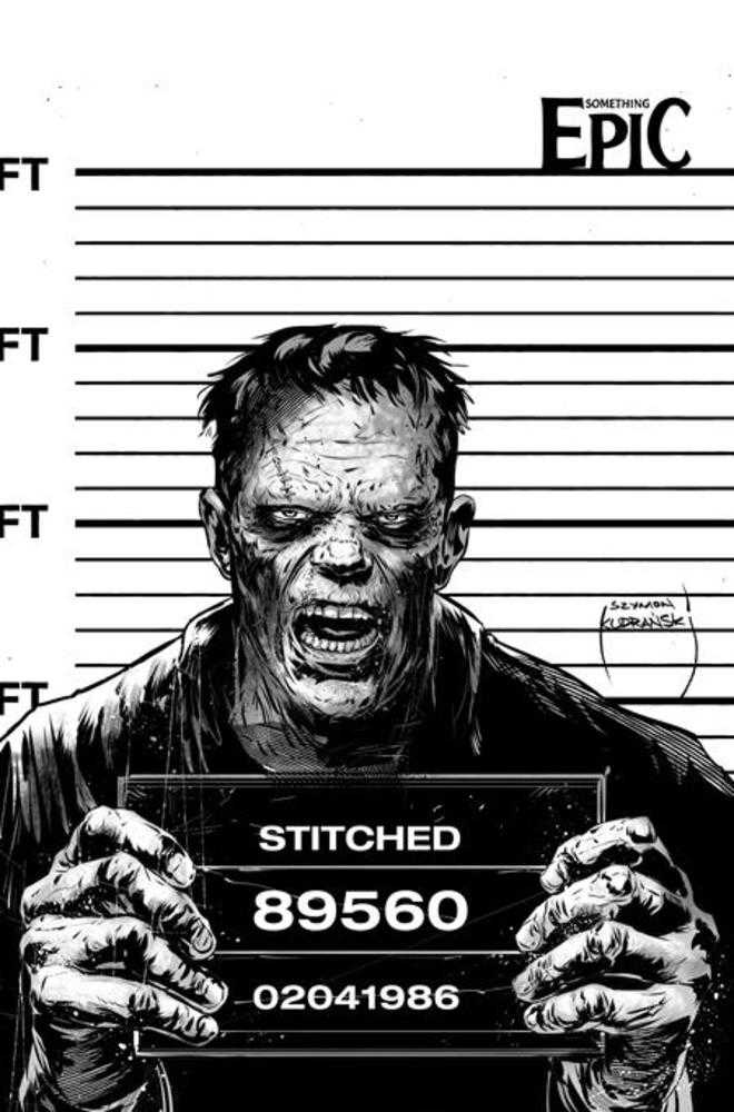 SOMETHING EPIC #15 COVER C SZYMON KUDRANSKI RAW ART VARIANT (Image 2026) Comic