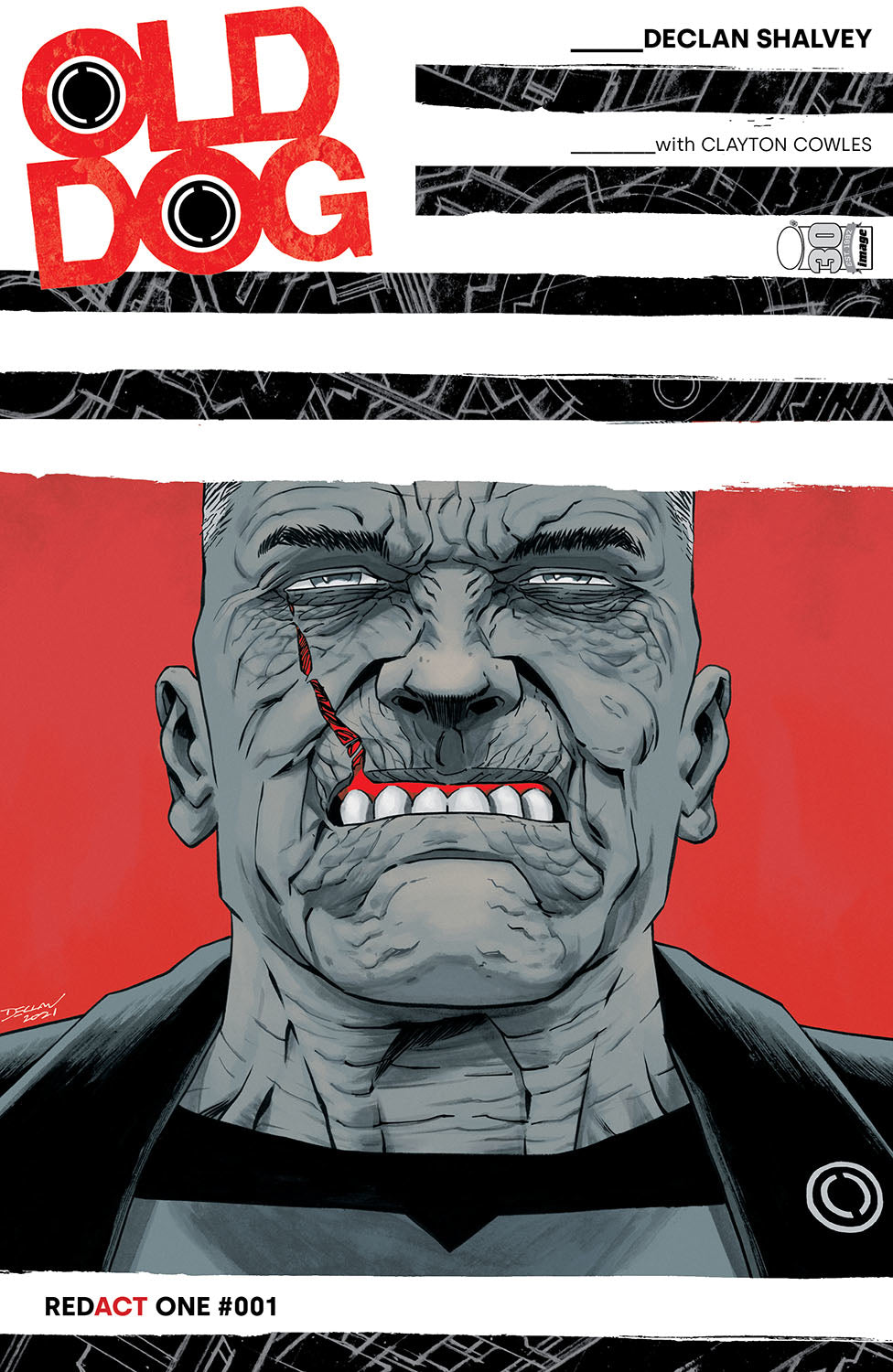 OLD DOG #1 CVR A SHALVEY (MR)
