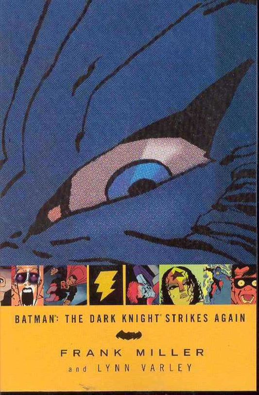 BATMAN DARK KNIGHT STRIKES AGAIN TRADE PAPERBACK