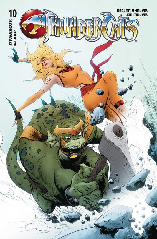 THUNDERCATS #10 COVER D LEE & CHUNG