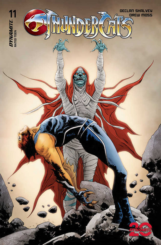 THUNDERCATS #11 COVER C LEE & CHUNG