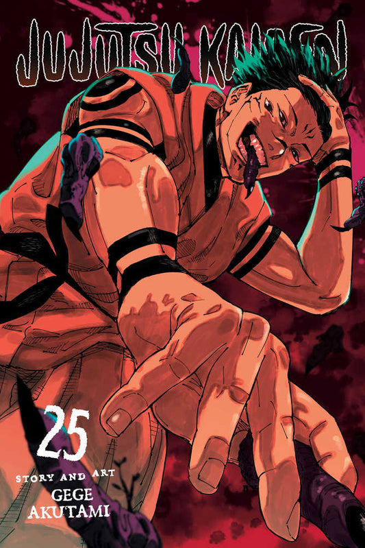 JUJUTSU KAISEN GRAPHIC NOVEL VOLUME 25