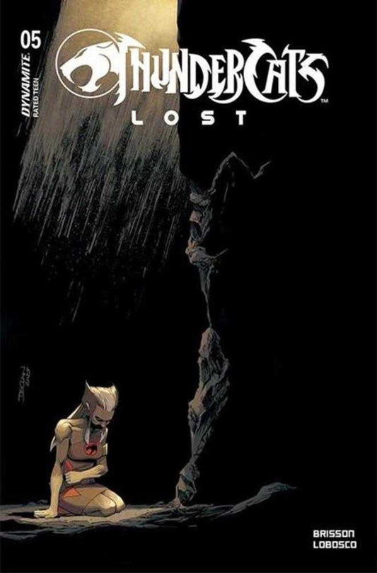 THUNDERCATS LOST #5 COVER A DECLAN SHALVEY VARIANT