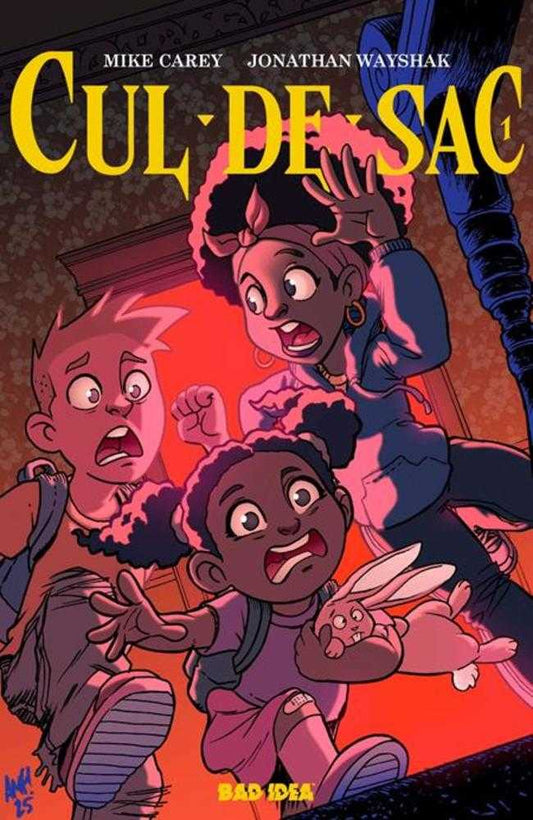 CUL DE SAC #1 (OF 4) COVER B TONY FLEECS CURSED MIRROR VARIANT