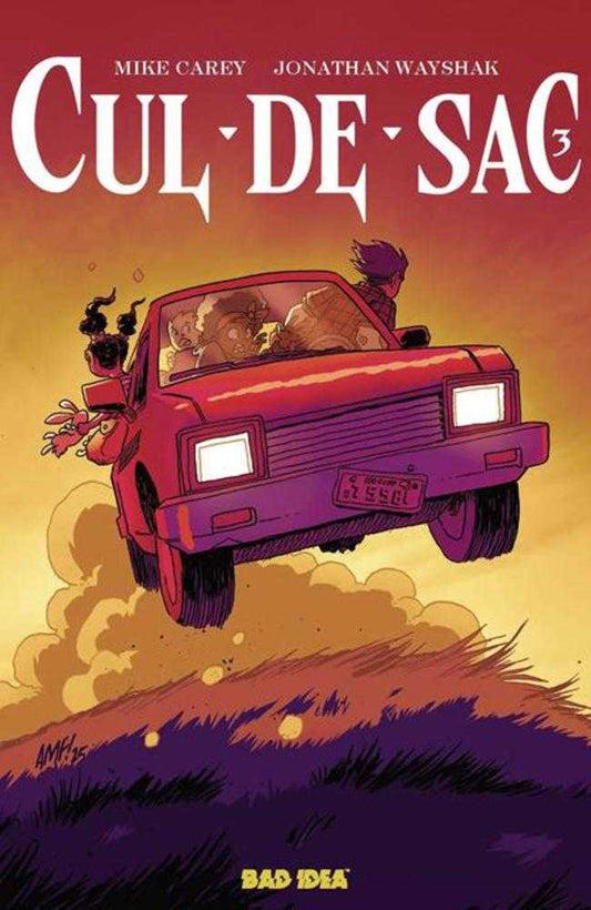 CUL DE SAC #3 (OF 5) COVER B TONY FLEECS CURSED MIRROR VARIANT