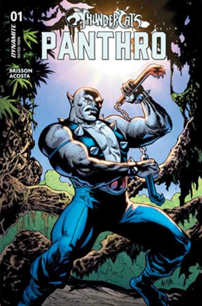 THUNDERCATS PANTHRO #1 COVER A DAVE ACOSTA
