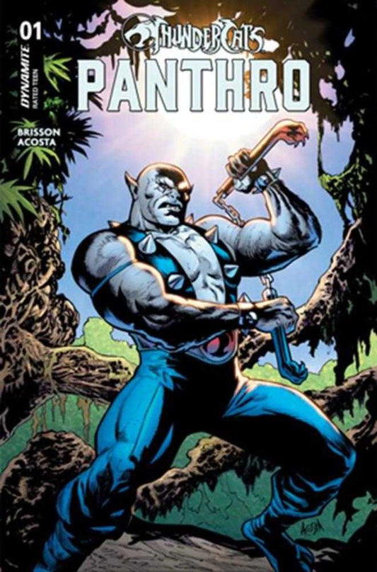 THUNDERCATS PANTHRO #1 COVER A DAVE ACOSTA