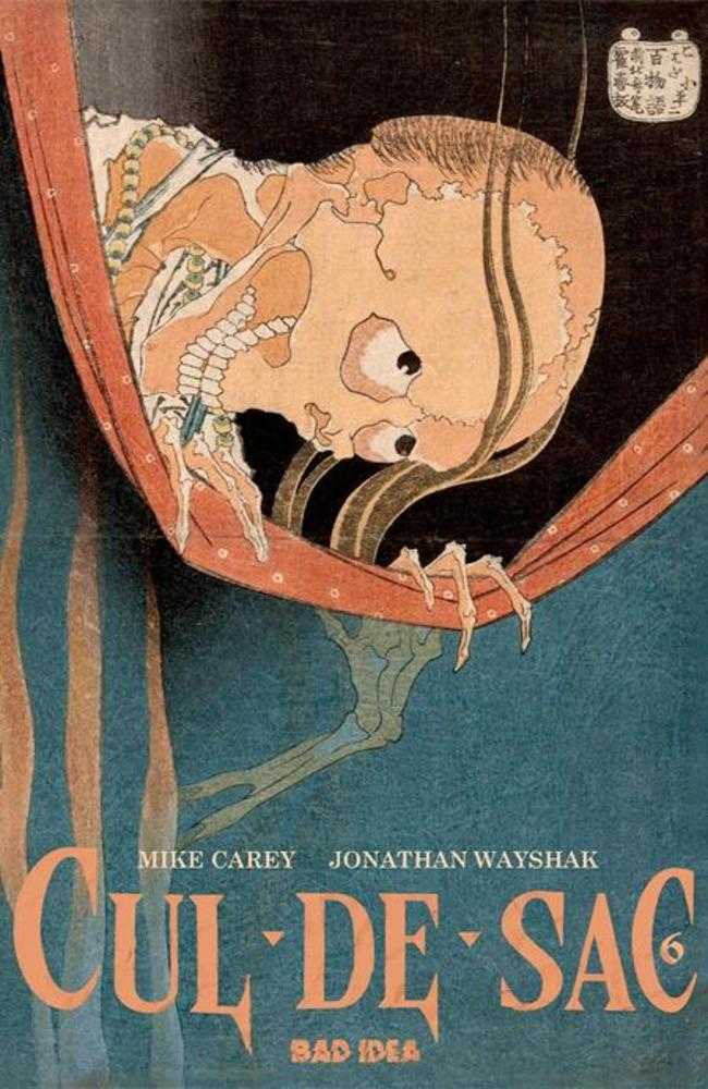 CUL DE SAC #6 COVER C (Bad Idea 2026) 1st Print Comic