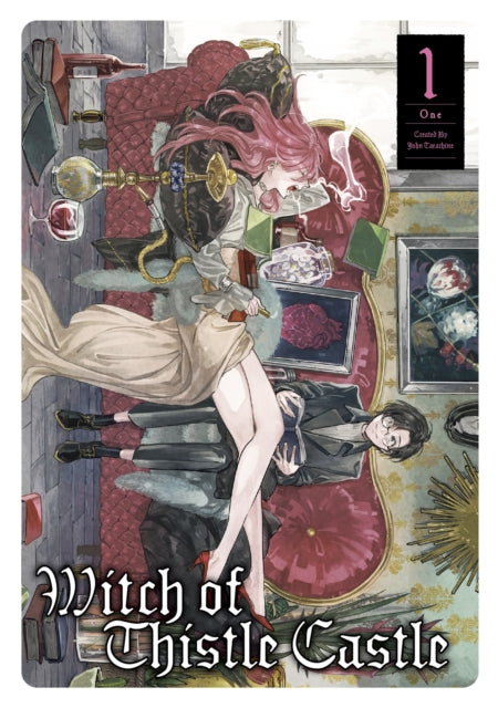 WITCH OF THISTLE CASTLE VOL 1 (15+ YRS)