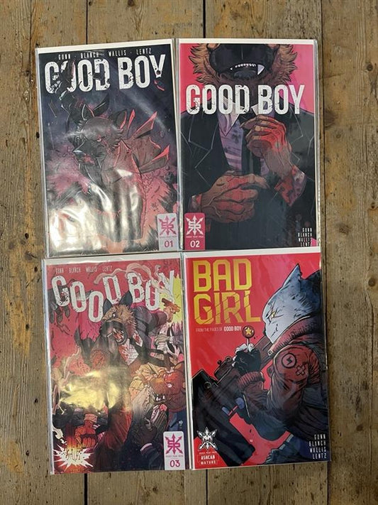 PRE-OWNED FULL SET GOOD BOY VOL 1  #1-#3 & BAD GIRL ASHCAN (MATURE)SOURCE POINT PRESS