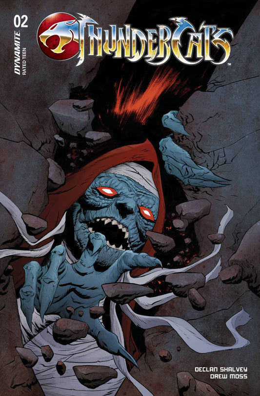 THUNDERCATS #2 COVER D LEE & CHUNG